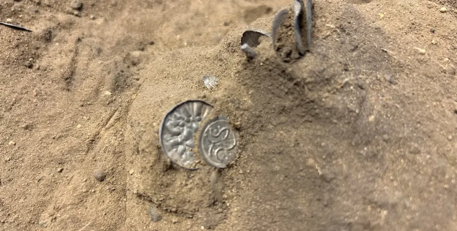 Данія, монети вікінгів, металошукач, срібні прикраси, історичний музей, Гаральд Блотанд, фортеця Фюркат, срібні скарби, древні люди, вікінги, знахідка, монети