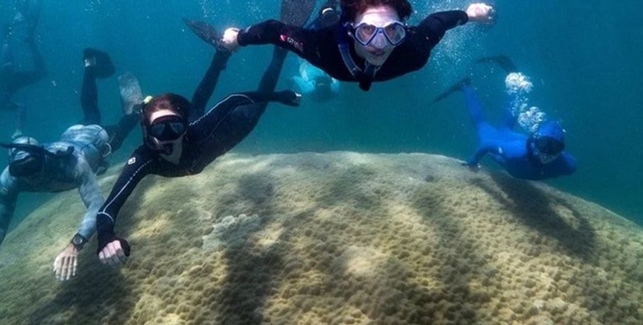 люди под водой