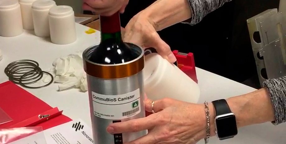 вино бордо, МКС, виноград, Франция