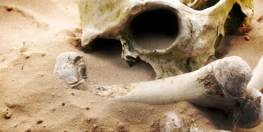 вымирание, люди