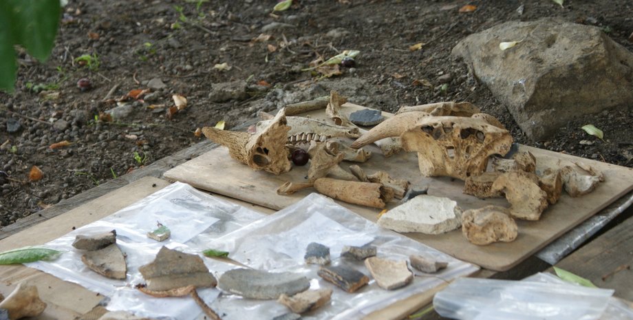 Доминиканский монастырь, Винница, археологическая экспедиция, артефакты, керамика, стеклянная посуда, 17-20 века, исторический комплекс, Винницкий областной краеведческий музей, захоронения, археологические находки, археология, Украина