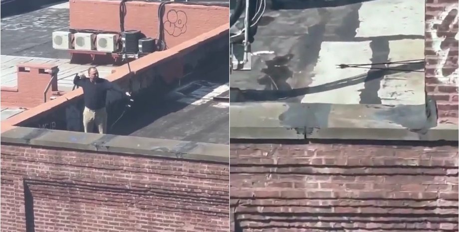 Леголас или Робин Гуд: мужчина застукал соседа за необычным занятием посреди дня