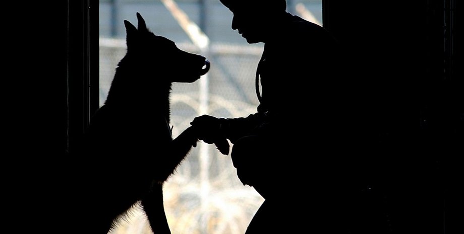 Фото: pxhere.com