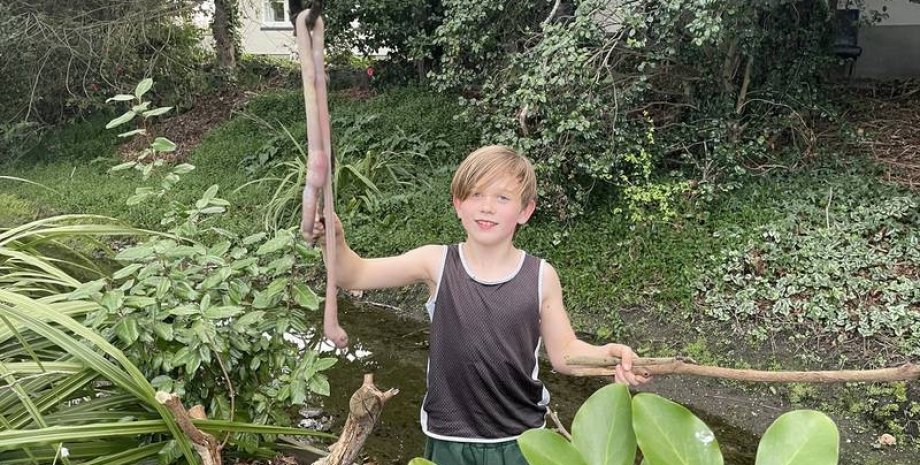 мальчик, червь, сад, фото