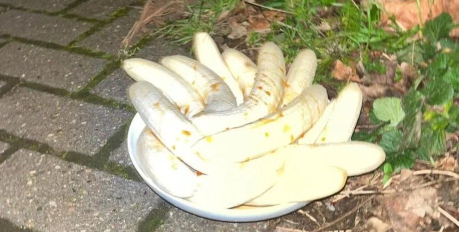 Бананы на улице, тарелка с бананами, очищенные бананы, больше года на улице появляются бананы, фрукты с медом, бананы с медом