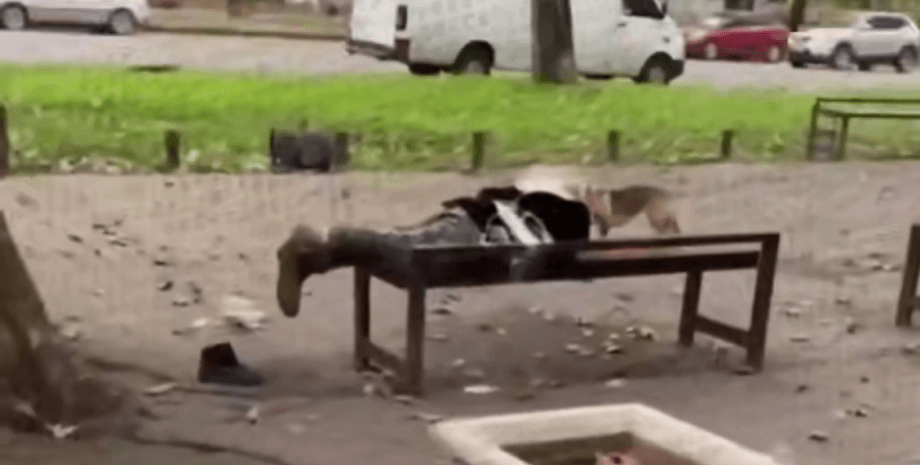 В Одесі жінку примотали скотчем до лавки: у чому її звинуватили (відео)