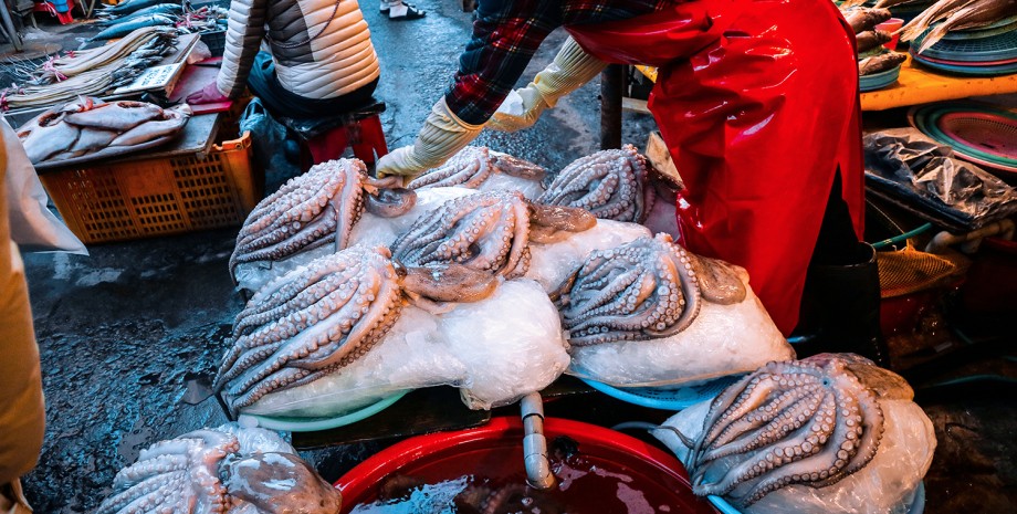 Рыбный рынок в Пусане