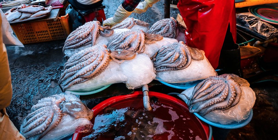 Рыбный рынок в Пусане