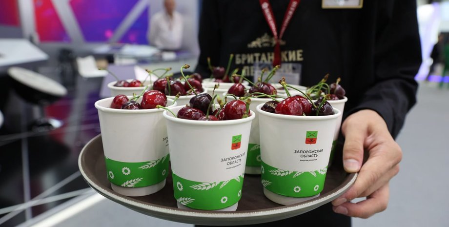 ПМЕФ, Петербургский международный экономический форум, мелитопольская черешня, черешня Мелитополь