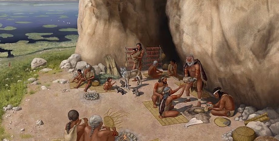 собаки і люди