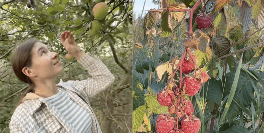 Девушка купила дом в селе Винницкой области