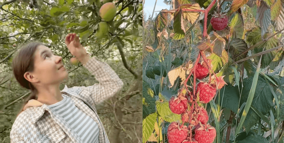 Дівчина купила хату в селі Вінницької області