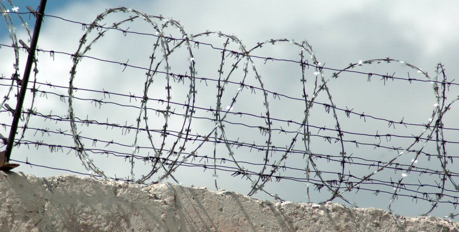 Фото из открытых источников