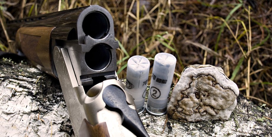 Фото из открытых источников