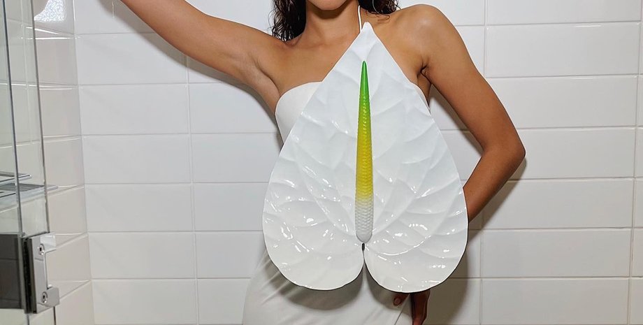 Зендея, виступ, Coachella