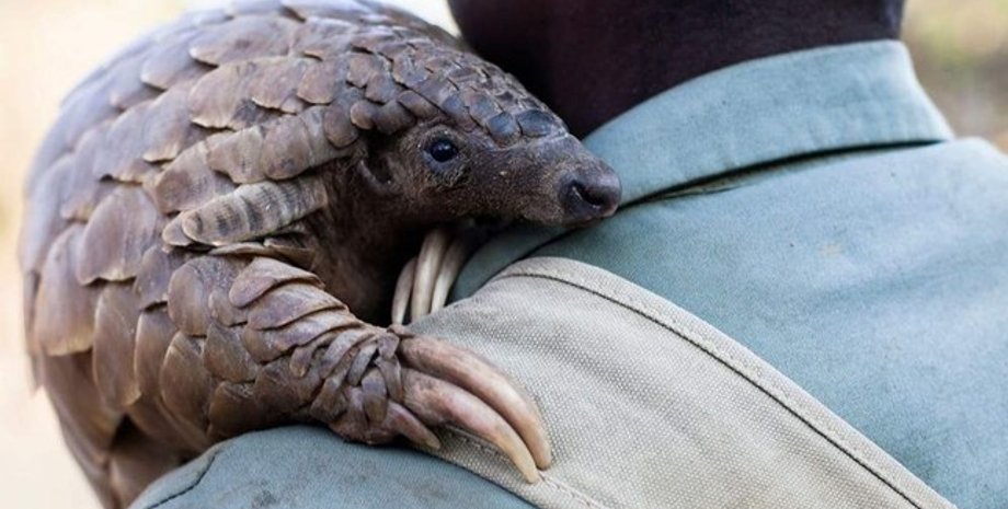 Фото: Daily Sabah