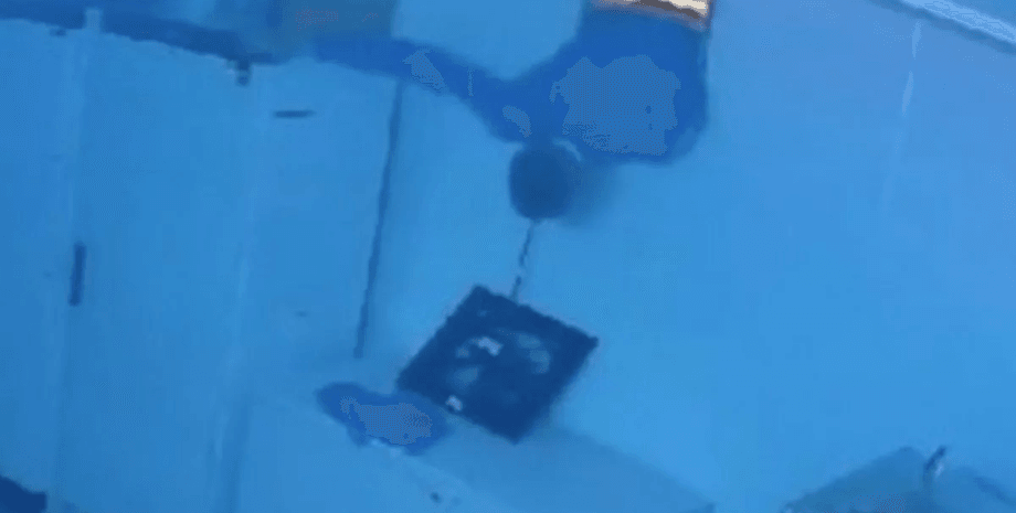 Неудачное ограбление, вытяжная шахта, вытяжная труба, вор, грабитель упал лицом вниз, ударился лицом об пол, украл деньги,