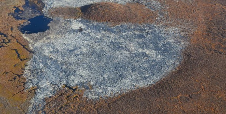 исследование, канада, парниковые газы, углерод, конец света, загрязнение планеты, загрязнение окружающей среды, окружающая среда загрязнения, спасти планету, углерод, выбросы в атмосферу, выбросы спасающего планету углерода, поваленная древесина, дерево,