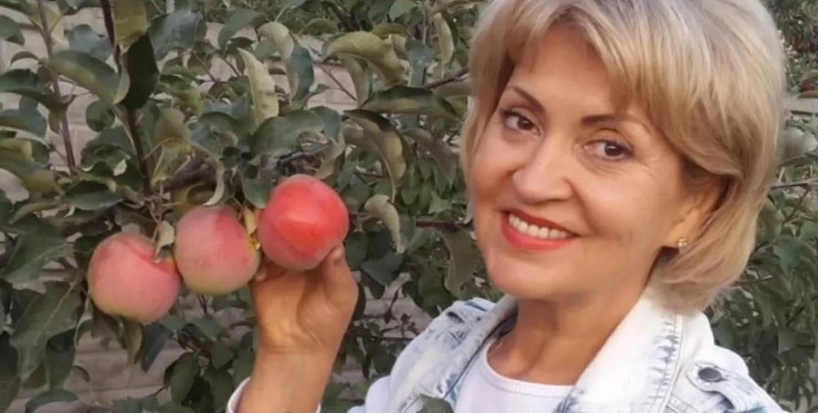 Притула, Сергей Притула, ДТП, авария, теща, адвокат