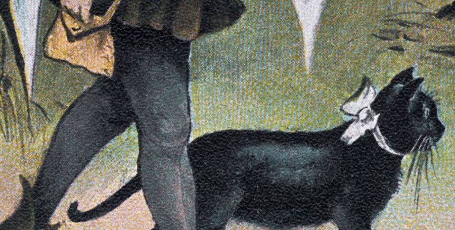 кошки, животные, древние животные, средневековье, история