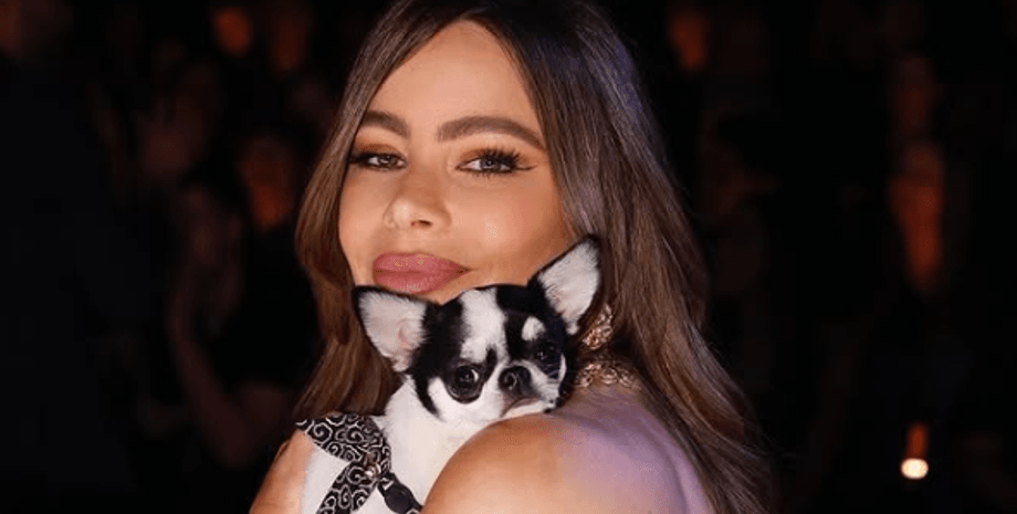 София Вергара, собачка