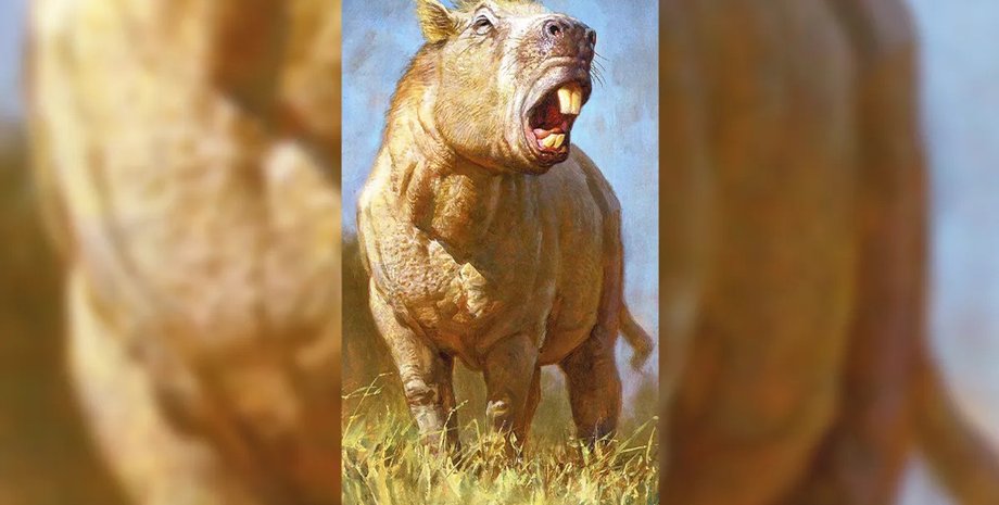 крупный грызун земли