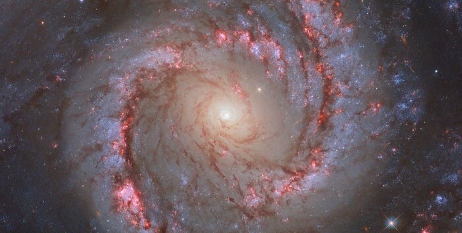 галактика NGC 1566