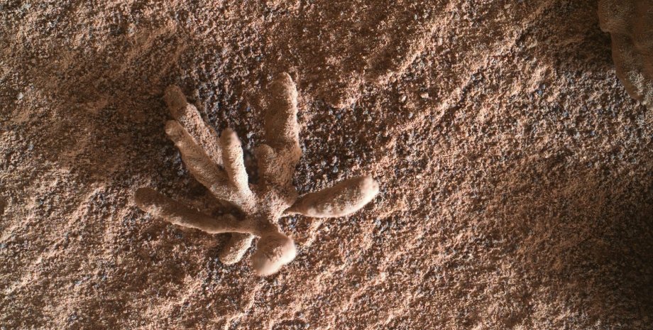 каменный "цветок", Марс, почва, фото