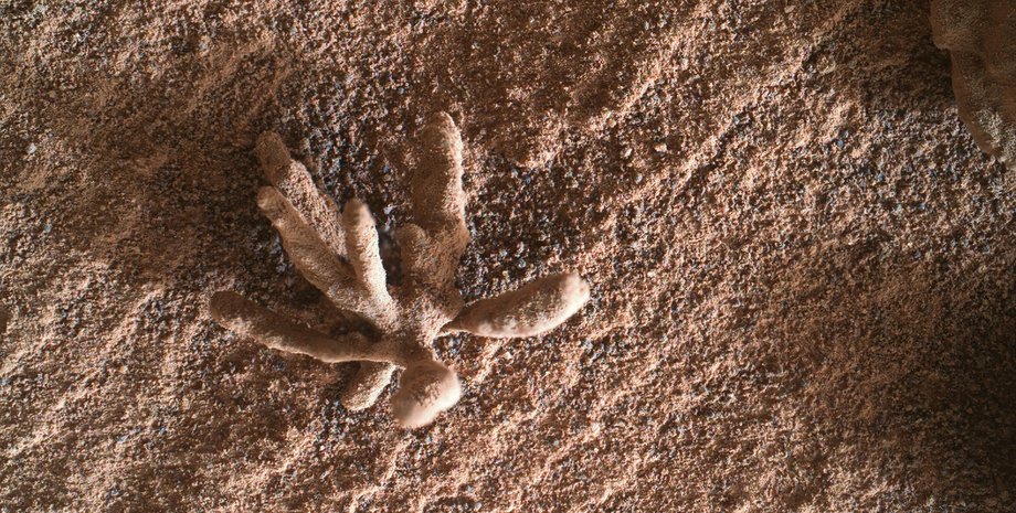 каменный "цветок", Марс, почва, фото