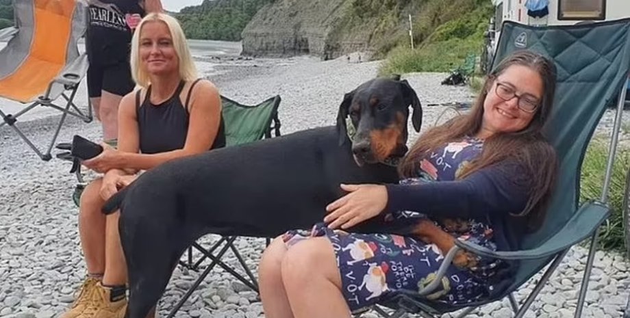 Собака, люди, доберман, пляж, женщины, животное, донор