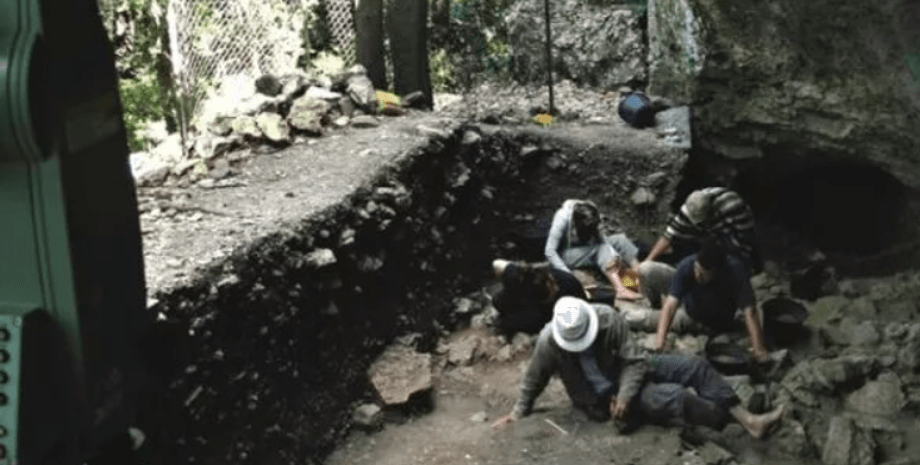 Рона, раскопки, мальчик, зуб, неандертальцы