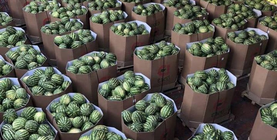 Фото: Нибулон