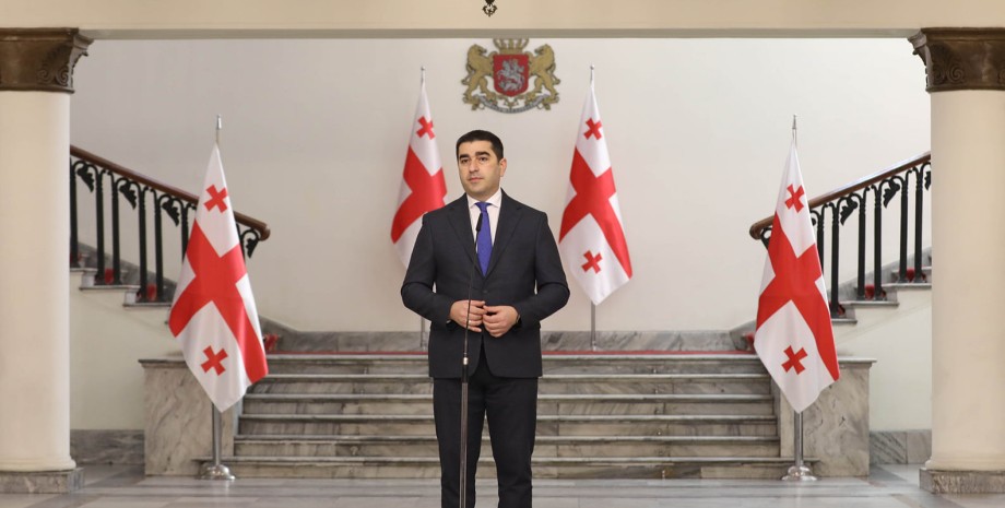 спикер парламента Грузии Шалва Папуашвили, Шалва Папуашвили