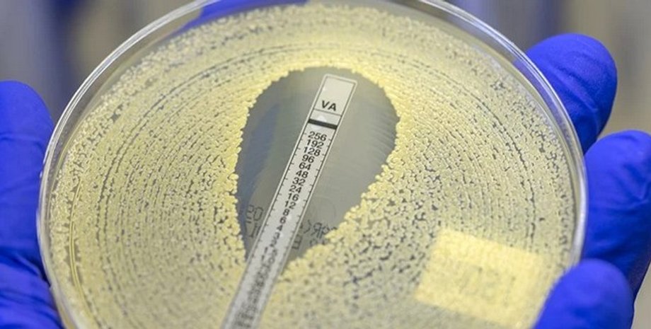 Антибиотики, бактерии