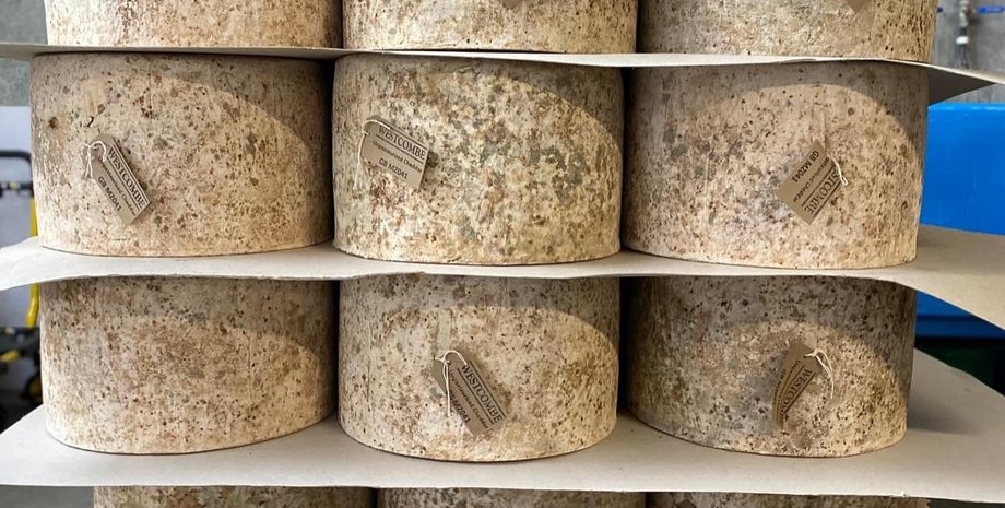 сыр кража, сыр для россии, украденный сыр