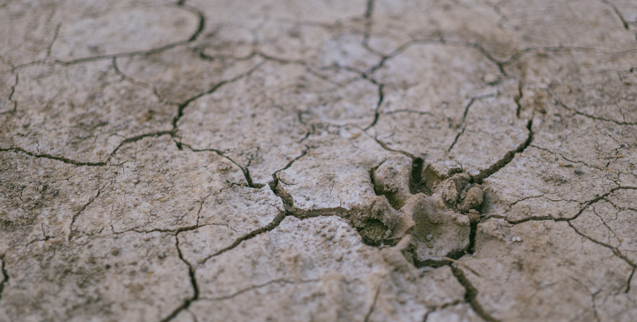 засуха отпечаток, экология, природа