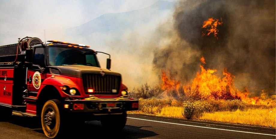 лесные пожары сша
