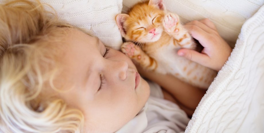 котенок, ребенок, сон