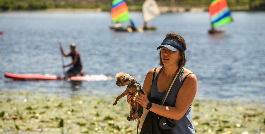 жара в Украине