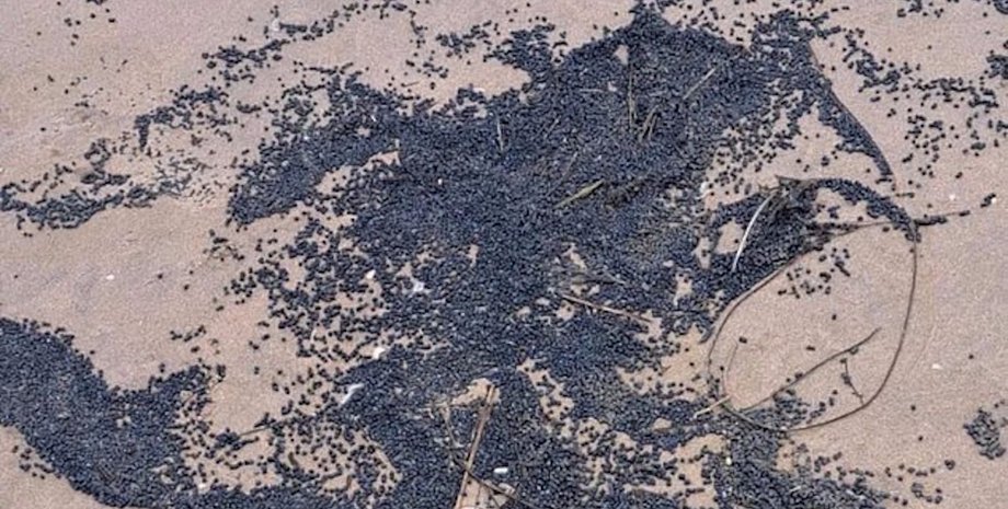 пляж пластикові гранули