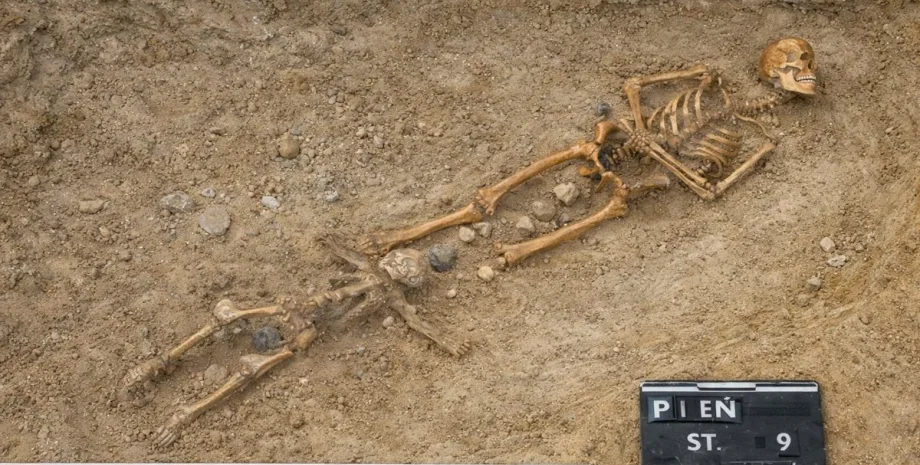 Археологи дослідили кладовище у селі Пень