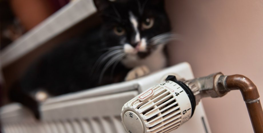 Фото: УНИАН