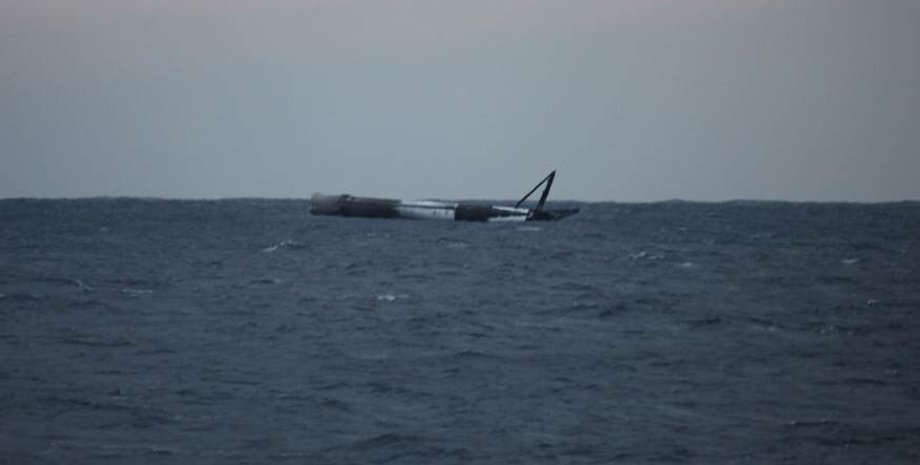 Фото: twitter.com/elonmusk