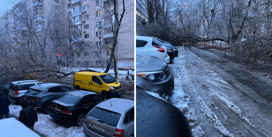 Через негоду у Києві падають дерева
