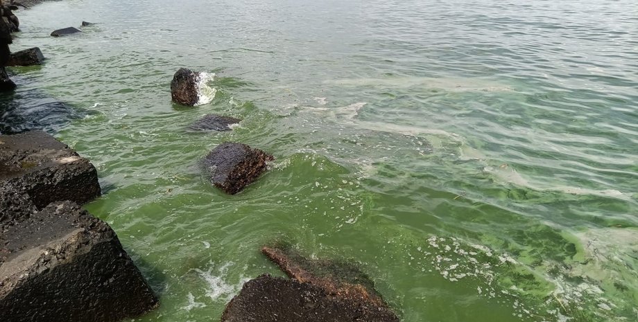 черное море, одесса пляж, одесса узбережье