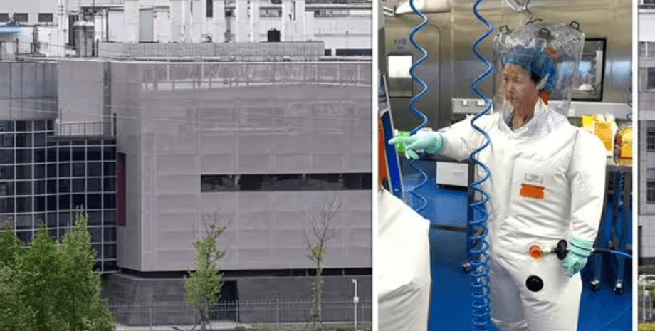 лаборатория Ухань, ковид, вирус