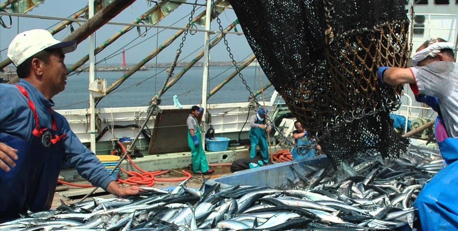 японські рибалки, рибалки, вилов риби