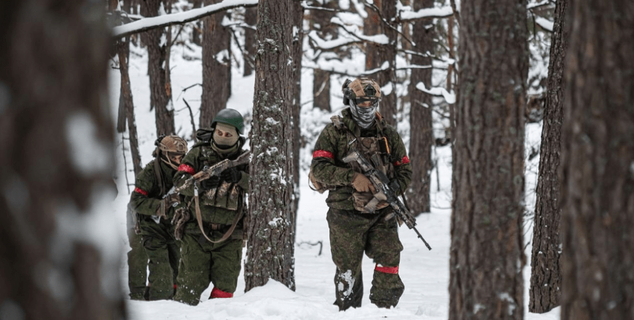 According to Yuriy Fedorenko, the forces of Ukraine's defense reveal the vast ma...