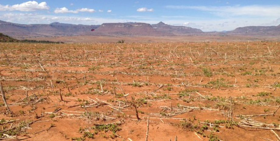 Засуха в Лесото - последствие Эль-Ниньо / Фото ФАО