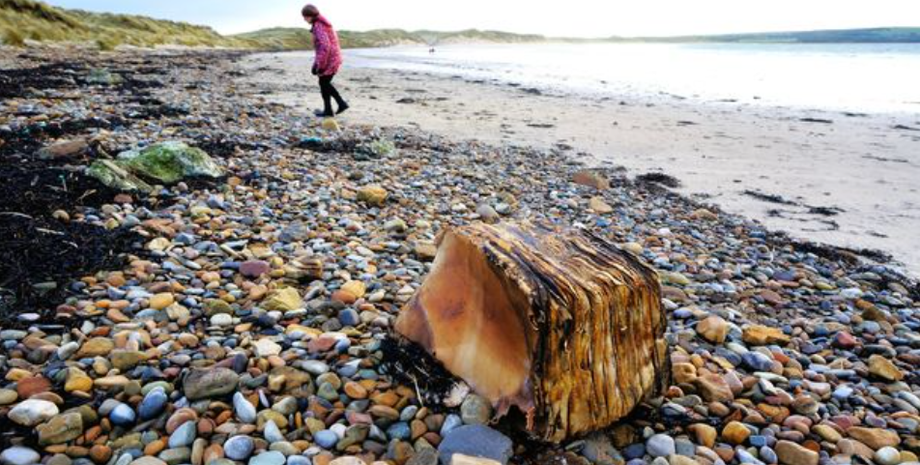 Таємнича річ з Титанка, пачка з унікальними візерунками, знахідки, Титанік, корабель, фото, Велика Британія